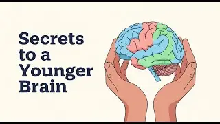 Your Brain Is Aging Faster Than You Think – Do These 16 Things Daily