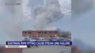 Pipe fitting caused Eastman steam line failure