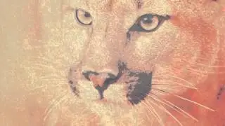 Deaf Pillow - Numbers (Deneha Remix)