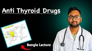 Anti Thyroid Drugs| Pharmacology Bangla lecture 