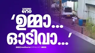 ഉമ്മാ... ഓടിവാ... നായകടിക്കാൻ വരണ്... കുട്ടിക്ക് നേരെ പാഞ്ഞടുത്ത് തെരുവുനായക്കൂട്ടം...