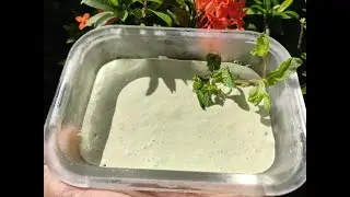 Mint Mayonnaise | Green Mayonnaise | Spicy Mayonnaise