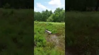 Mark Malfa getting up close and personal with spawning alligator gar