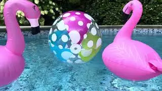 Floating Pool Decorations for Your Flamingo Pool Party at Pool Fun for Everyone