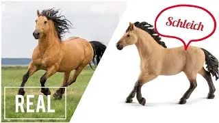 REAL Horses Vs Schleich Horses | What Would REAL Horses Look Like as MODEL Horses?! |