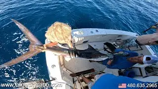 Marlin & Wahoo Caught in Cabo San Lucas Fishing