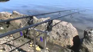 Detroit River Drop back bite