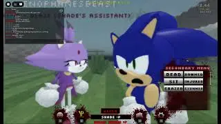 Sonic exe RP reborn but its a final braincell server (I just watch the chaos)