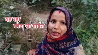 अब गुलाब के पेड़ में फूल निकलने लगे हैं