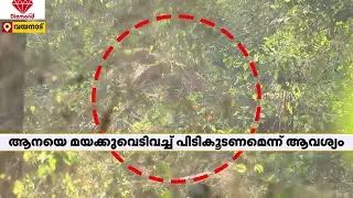 പ്രതിഷേധം അവസാനിപ്പിക്കാതെ മാനന്തവാടിയിലെ ജനങ്ങൾ | Mananthavady | Wayanad Wild Elephant