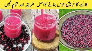 Summer Special Refreshing Falsa Juice Easy Recipe in Hindi and Urdu by Farya Cooks With Mummy