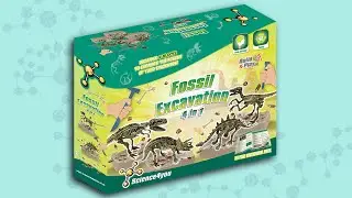 Science4you UK - Fossil Excavation 4 in 1