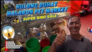 GRABE ANG MURA! 😱 HULOG DUHAT SA MALABON PET MARKET | SUPER BIRD SALE. January 12, 2026
