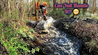 Beaver Dam Removal! 