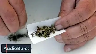 Mentor Capital's Chet Billingsley On The Rapidly Growing Legal Cannabis Industry