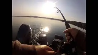 28'' Lake Champlain Lake Trout