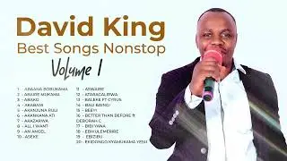 Best of David King nonstop - Volume 1