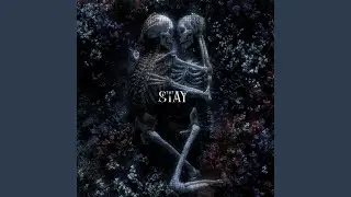 stay