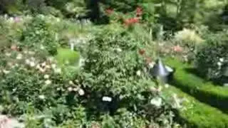 Victoria B.C.