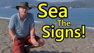 TOURISTS AND TURTLES