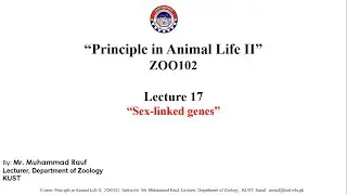 Course: Principle in Animal Life- II. Lecture 17: Sex linked genes