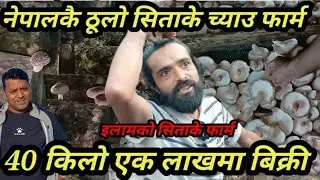 नेपालकै ठूलो सिताके च्याउ फार्म इलाम मा , दैनिक 50 किलो उत्पादन , 40 किलो एक लाखमा बिक्री हुँदै ilam