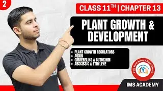 BIOLOGY CLASS 11TH CHAPTER 13 | PLANT GROWTH & DEVELOPMENT | LECTURE 2