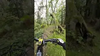 Raw Wrekin 'monkey gully' #shorts #emtb #downhill #youtubeshorts #trending #fypシ #dji