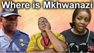 Nhlanhla lux finally gives his thoughts on open Boaders n foriegners 
