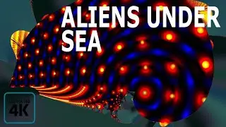 Top 10 Most Alien Looking Sea Creatures