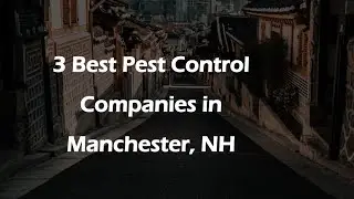 3 Best Pest Control Companies in Manchester, New Hampshire 2024 | Pest Extermination