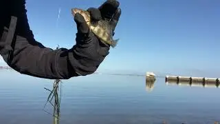 Fishing in Chula Vista, CA San Diego area fishing from shore | Caught a fish and ray with shirmp