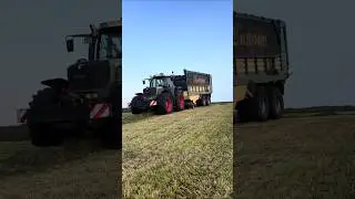 Ladewagen fahren mit Fendt 920 TMS und Krone ZX 430💨🔥 beim 3. Schnitt 2025😱💪🌾 #farming #trending