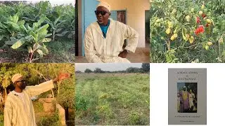 M. Mamadou Sow agriculteur soninké de Kounghany raconte comment il a débuté dans l’émission Ô’GOLLU