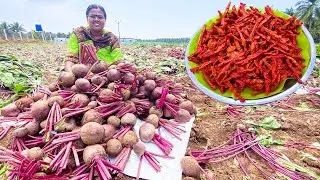 பீட்ரூட் இருந்தால் இப்படி செய்து பாருங்கள்  - Farm fresh Beetroot Chips / Crispy evening snacks