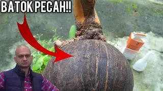 Batok pecah! Ini solusi nya!!