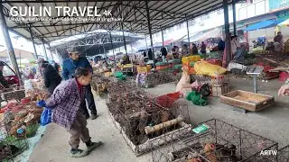 Guilin Tanxia Village Market Walk | Hidden Local Market & Authentic Rural Life | Real China 4K