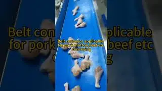 Belt conveyorNEW