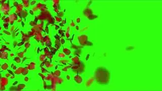 rose fall left to right green screen video effect copyright free.
