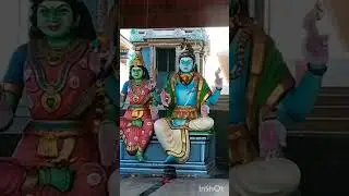 முருகன் கோவில் நேரடி தரிசனம் 🙏