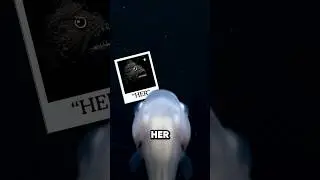 This is how male Anglerfish find love...and it's brutal