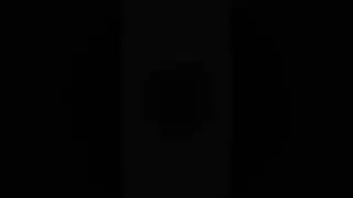 sal's song