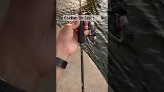 Proper Gekkabijin Ajing Setup 🤤🤩 #ajing #ajingfishing #ajinggame  #fish