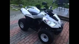 2006 E-ton Vector 250 ST 4 sale