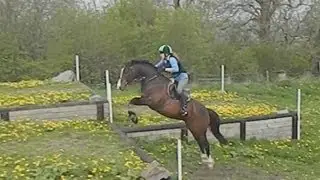 Tobee at home and xc schooling
