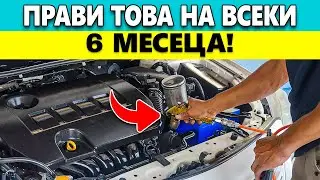 Повечето Автомобили Умират Рано: Тези Трикове Ги Водят До 1 000 000 Километра