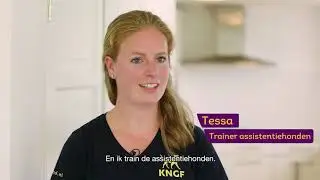 Training assistentiehond I KNGF Geleidehonden
