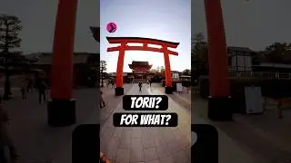 Japanese TORII gate - WHAT IS IT FOR? ⛩️🇯🇵 #japan #torii #travel #shinto