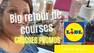 BIG LIDL SHOPPING RETURN (&euro;170)