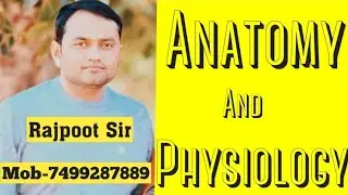 24-Major muscle by-Rajpoot sir